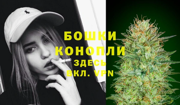 прущий лед Белокуриха