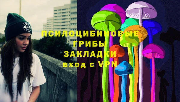 прущий лед Белокуриха