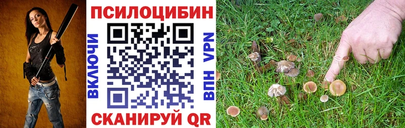 магазин продажи наркотиков  Обь  Галлюциногенные грибы Psilocybe 