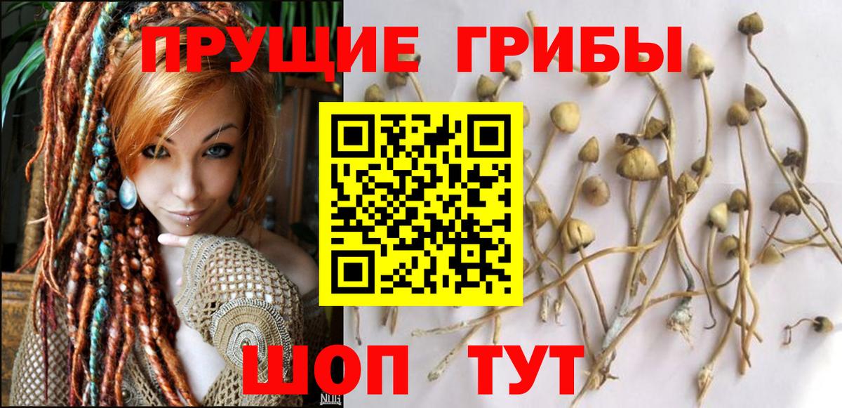 Псилоцибиновые грибы прущие грибы  Вход с VPN  Галлюциногенные грибы Magic Shrooms  Обь 